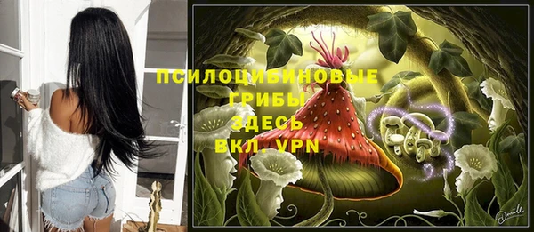 гашик Карталы