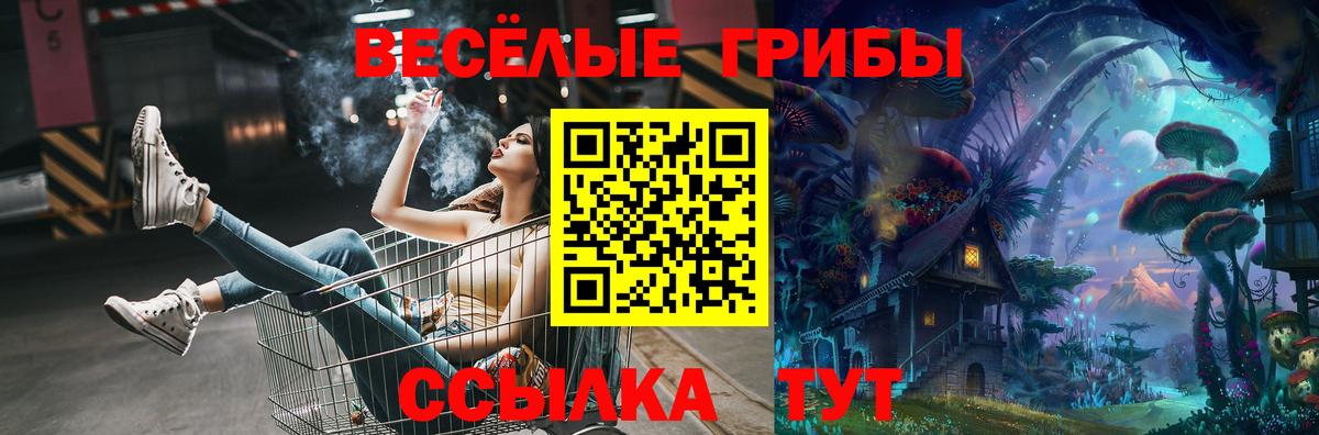Псилоцибиновые грибы мухоморы  купить наркотики цена  Новочеркасск  Вход с VPN 